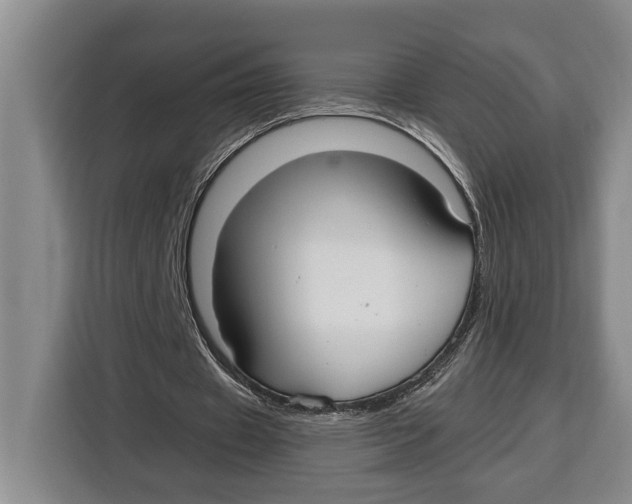 X0000115120433200911241350