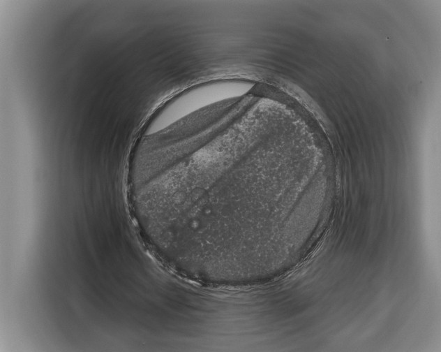 X0000115120434200911241350