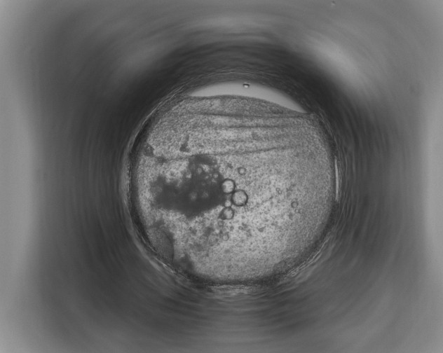 X0000115120435200911241350