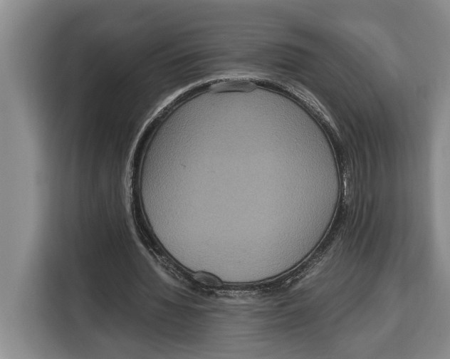 X0000115120436200911241350