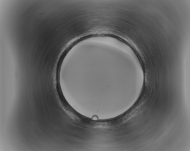 X0000115120438200911241350