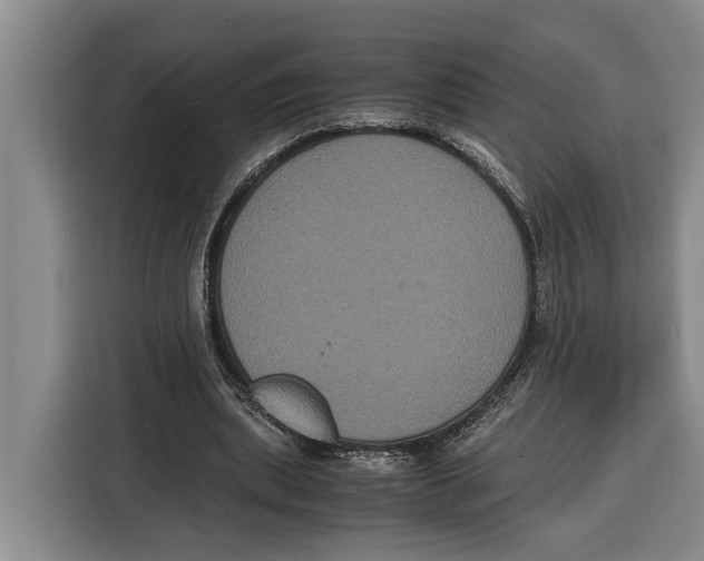 X0000115120439200911241350