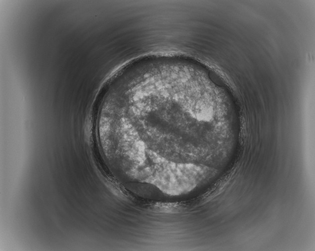 X0000115120440200911241350