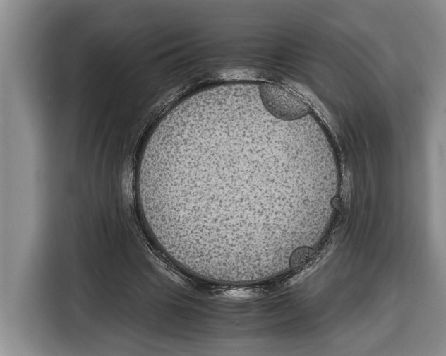 X0000115120441200911241350