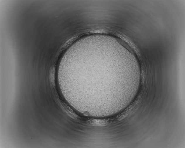 X0000115120442200911241350