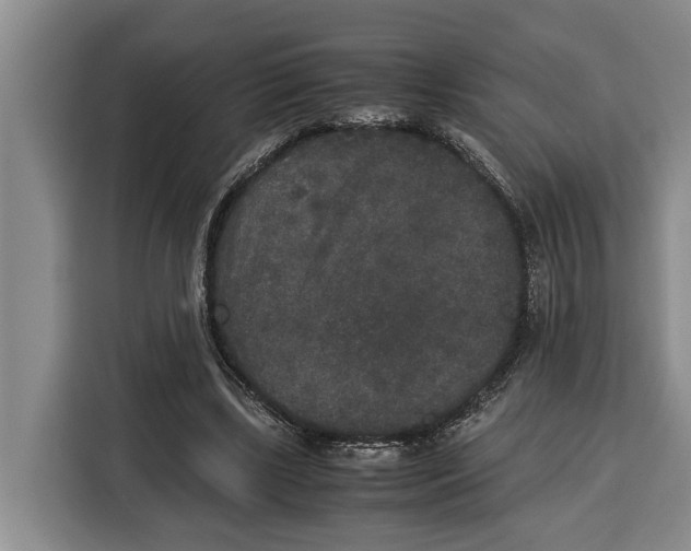 X0000115120443200911241350