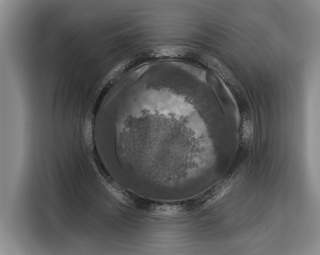 X0000115120444200911241350