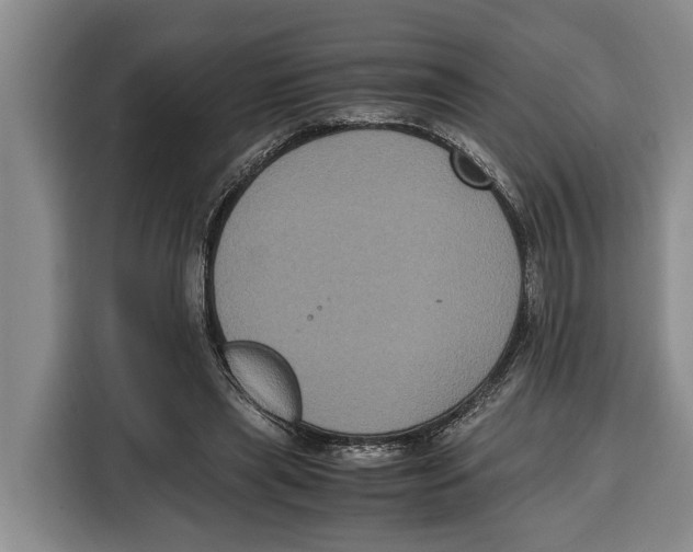 X0000115120445200911241350