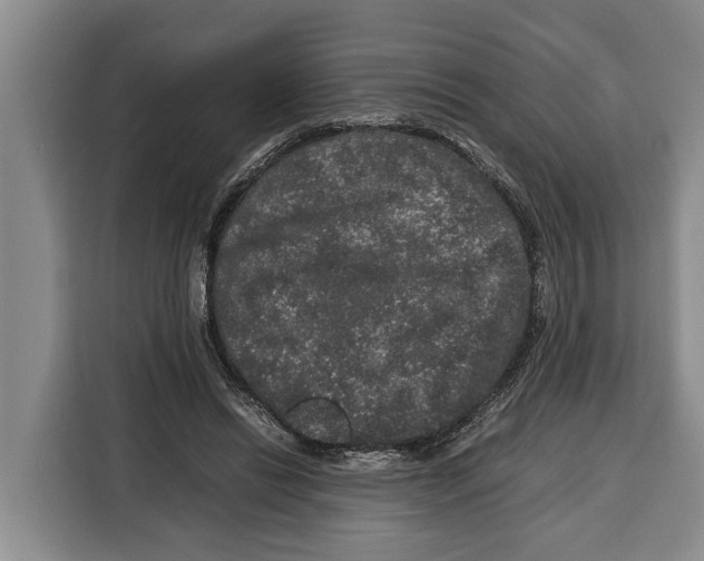 X0000115120446200911241350