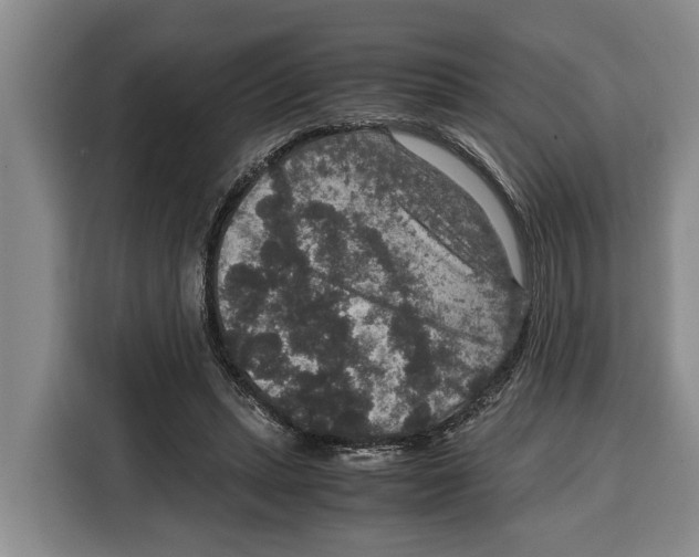 X0000115120447200911241350