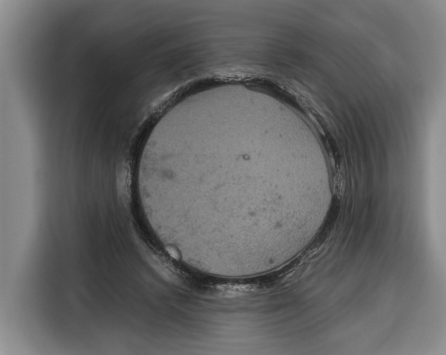 X0000115120448200911241350