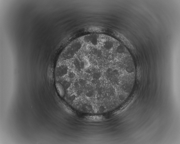 X0000115120449200911241350