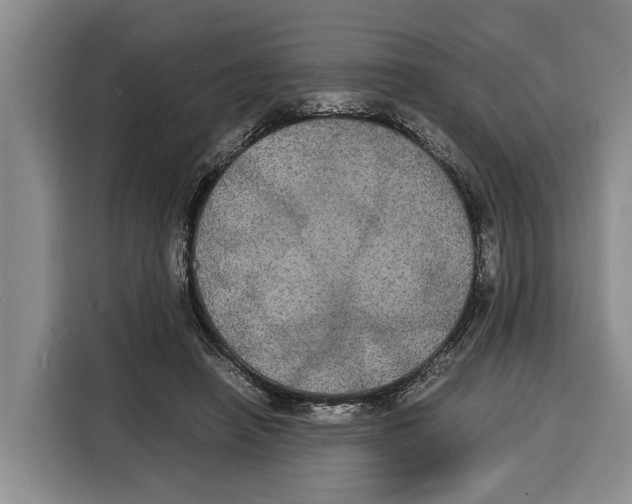 X0000115120450200911241350