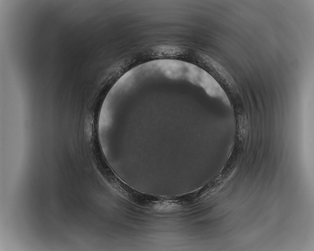 X0000115120451200911241350