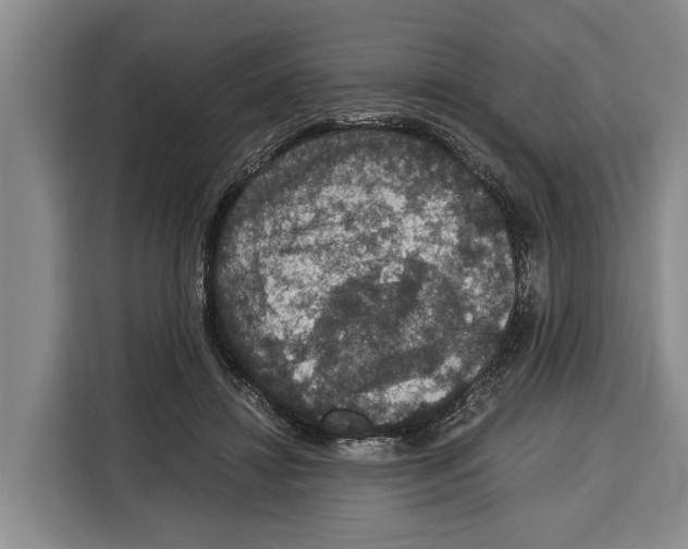 X0000115120452200911241350