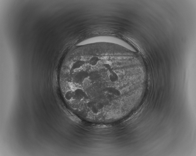 X0000115120453200911241350