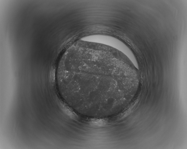 X0000115120454200911241350