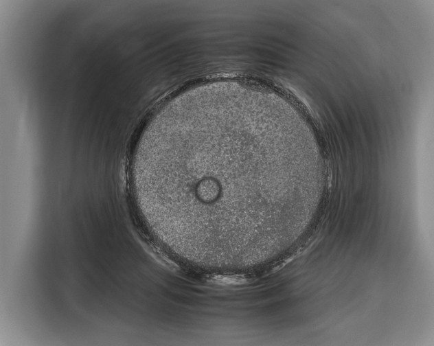 X0000115120455200911241350