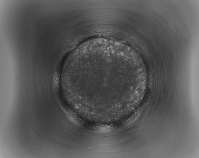 X0000115120456200911241350