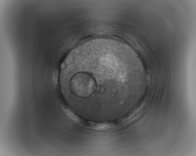 X0000115120458200911241350