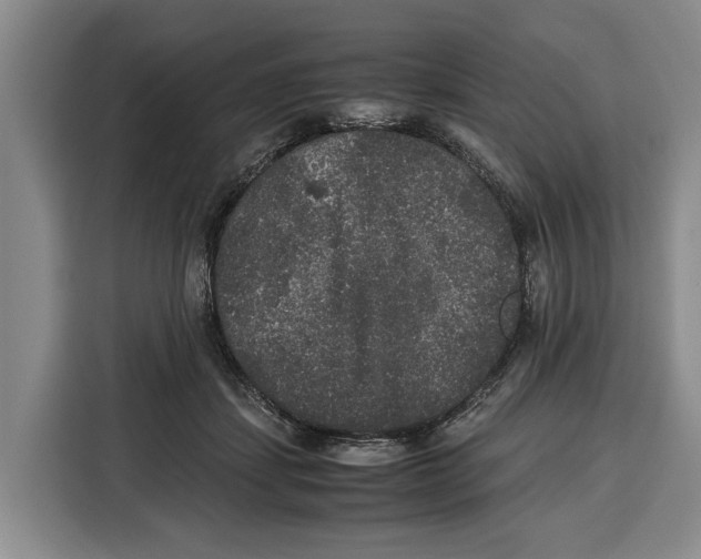 X0000115120459200911241351