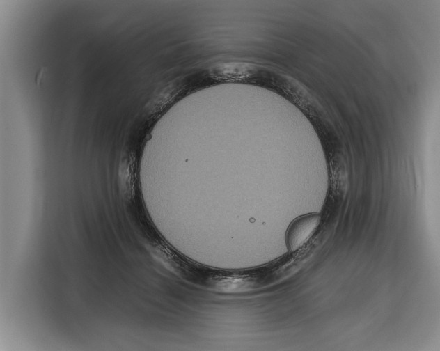 X0000115120460200911241351