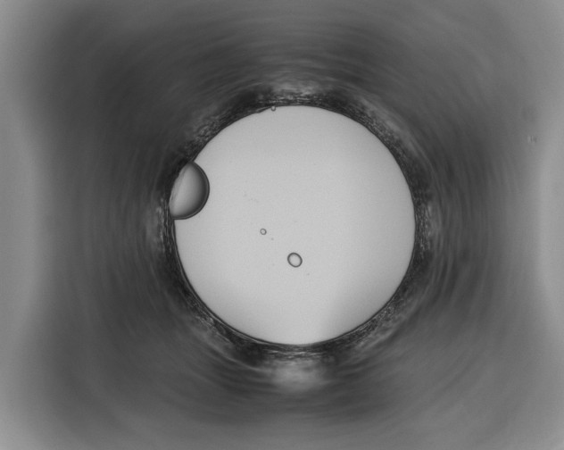 X0000115120463200911241351