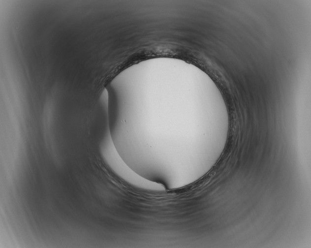 X0000115120465200911241351