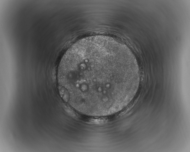 X0000115120466200911241351