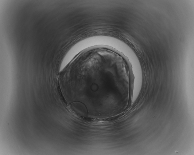 X0000115120467200911241351