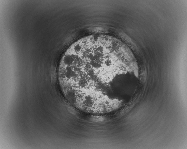 X0000115120469200911241351