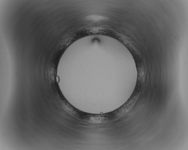 X0000115120470200911241351