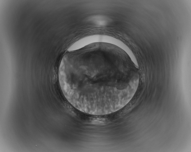 X0000115120471200911241351