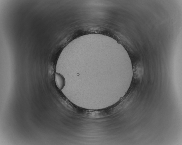 X0000115120472200911241351