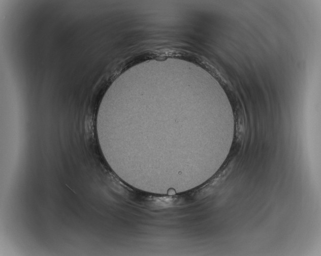 X0000115120473200911241351