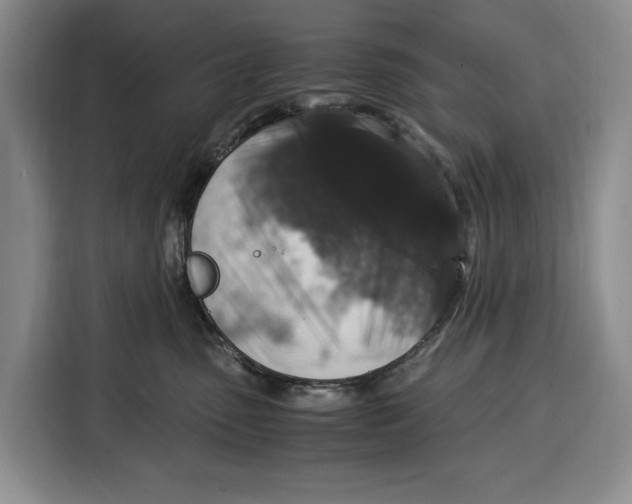 X0000115120475200911241351