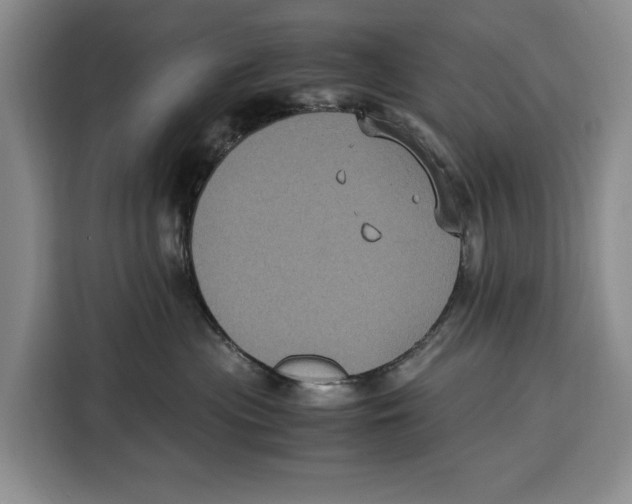 X0000115120477200911241351