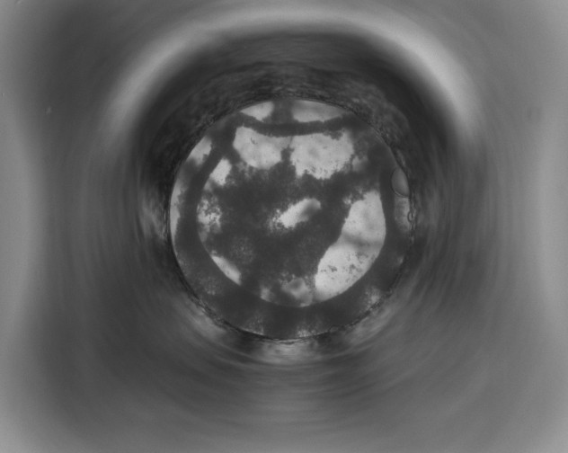 X0000115120479200911241351