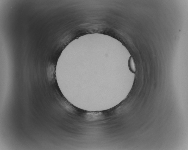 X0000115120480200911241351