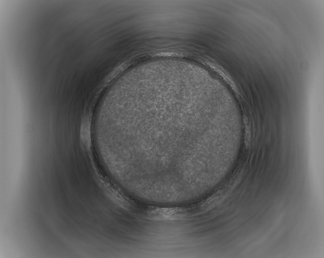 X0000115120482200911241350