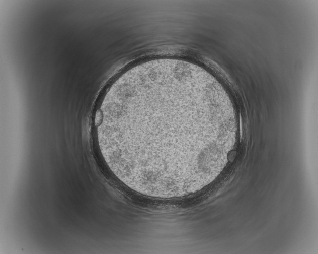 X0000115120483200911241350