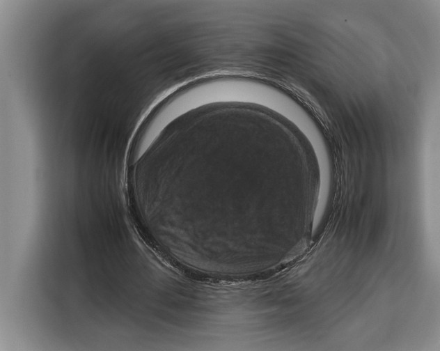 X0000115120484200911241350