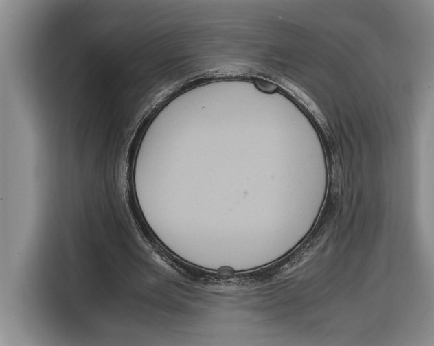 X0000115120485200911241350