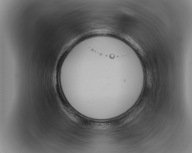 X0000115120486200911241350