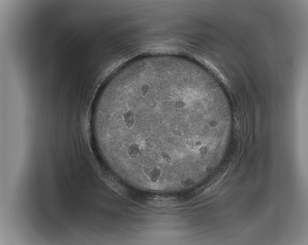 X0000115120487200911241350