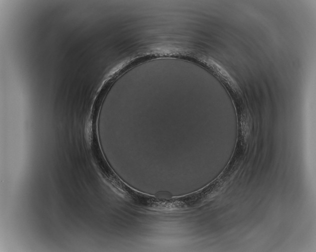 X0000115120488200911241350