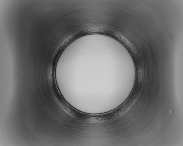 X0000115120490200911241350