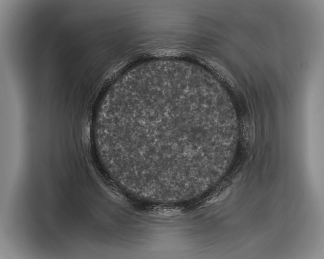 X0000115120491200911241350