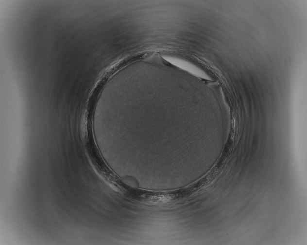 X0000115120492200911241350