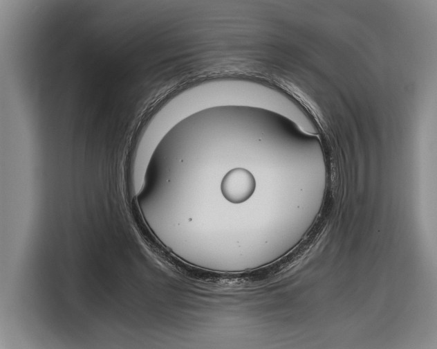 X0000115120493200911241350